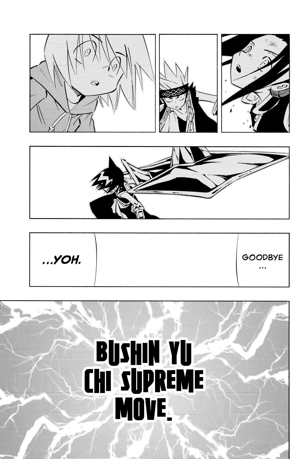 Shaman King chapter 255 page 15