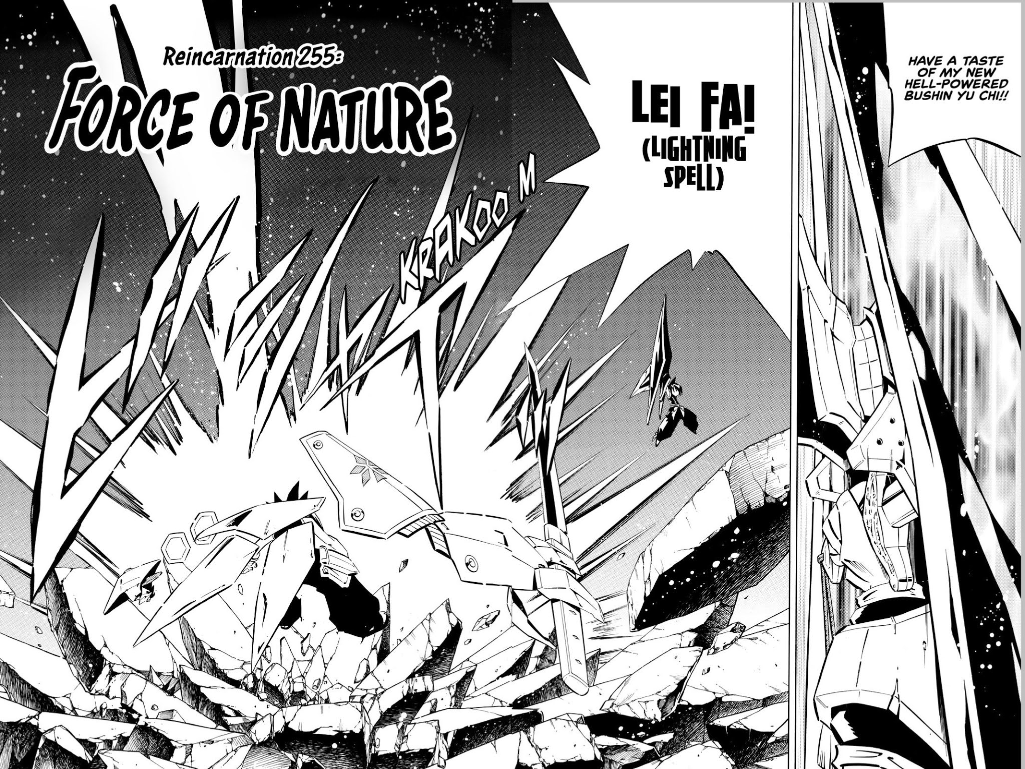 Shaman King chapter 255 page 2