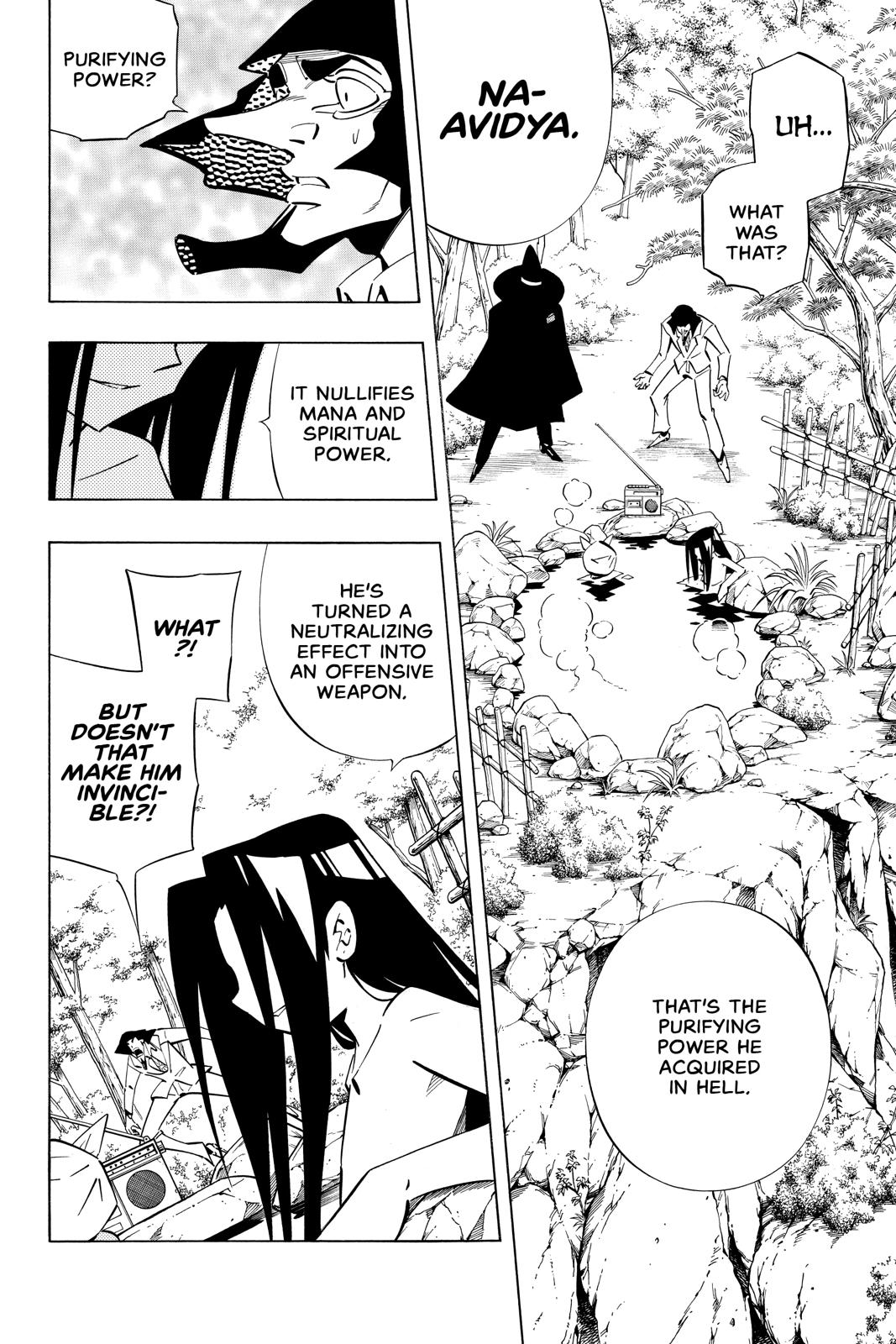 Shaman King chapter 255 page 3