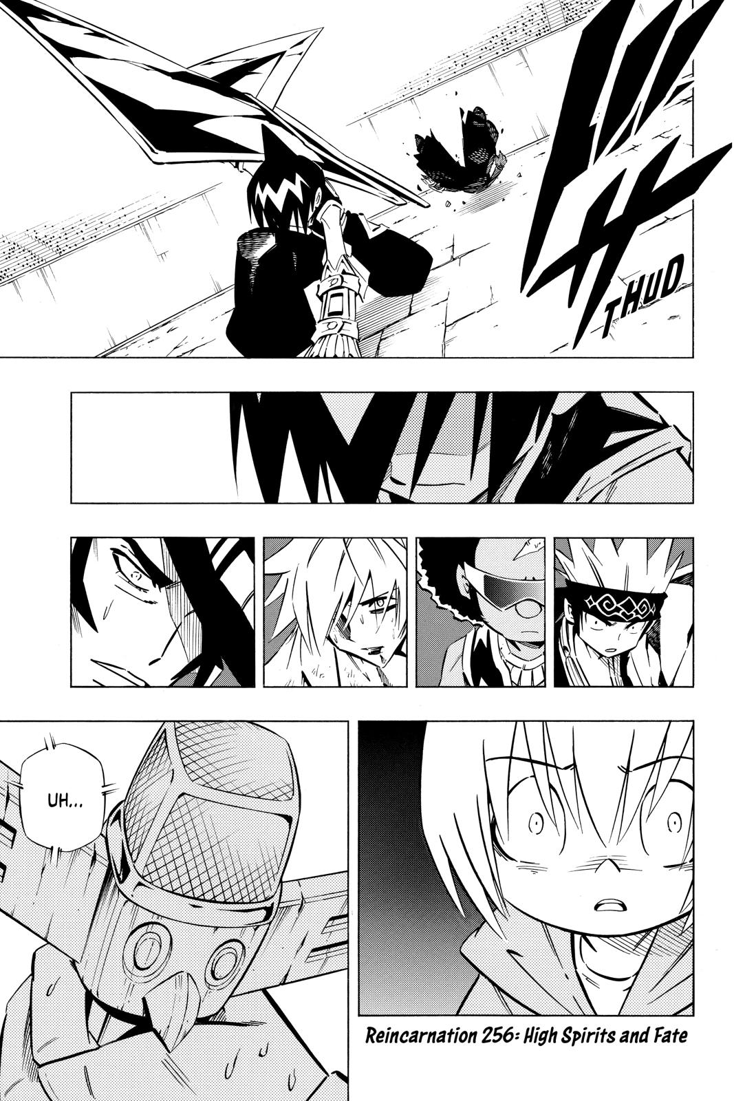 Shaman King chapter 256 page 1