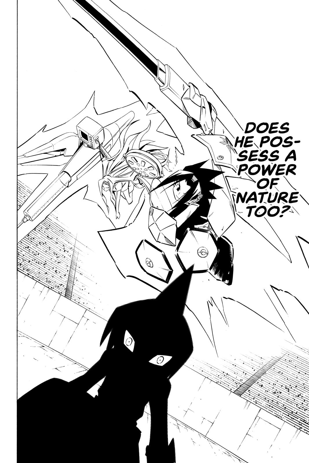Shaman King chapter 256 page 12