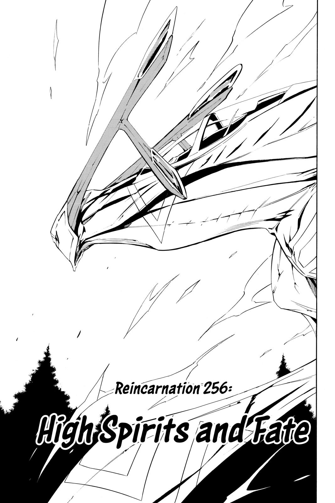 Shaman King chapter 256 page 3