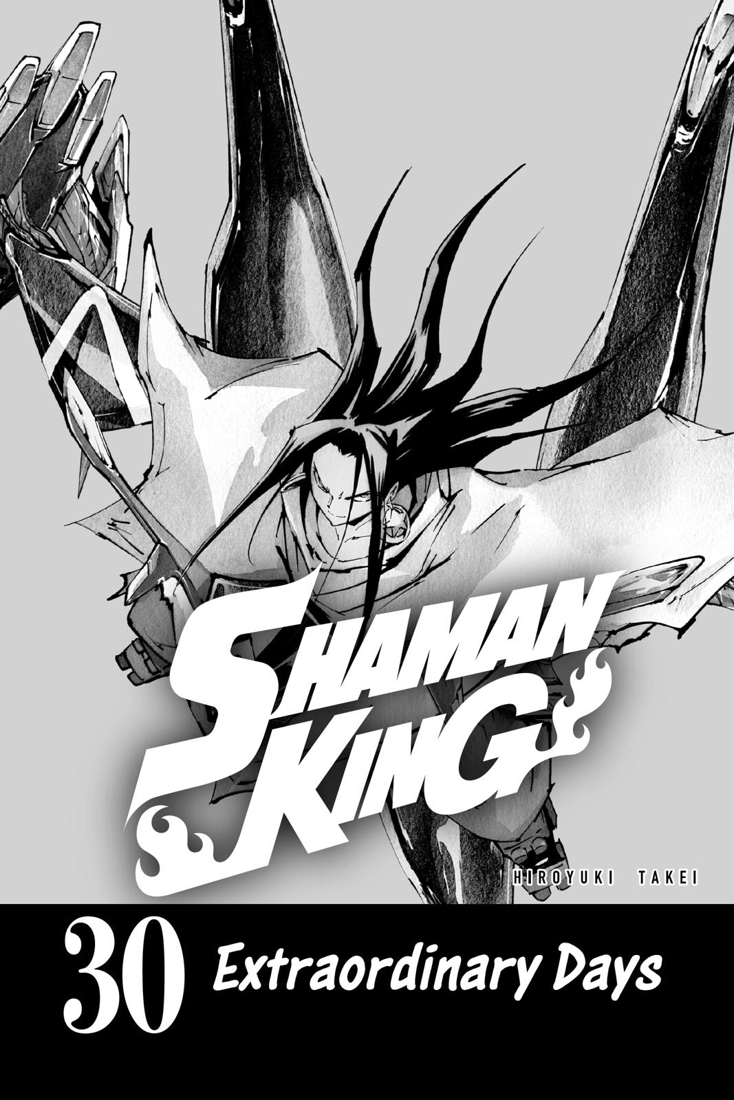 Shaman King chapter 258 page 2