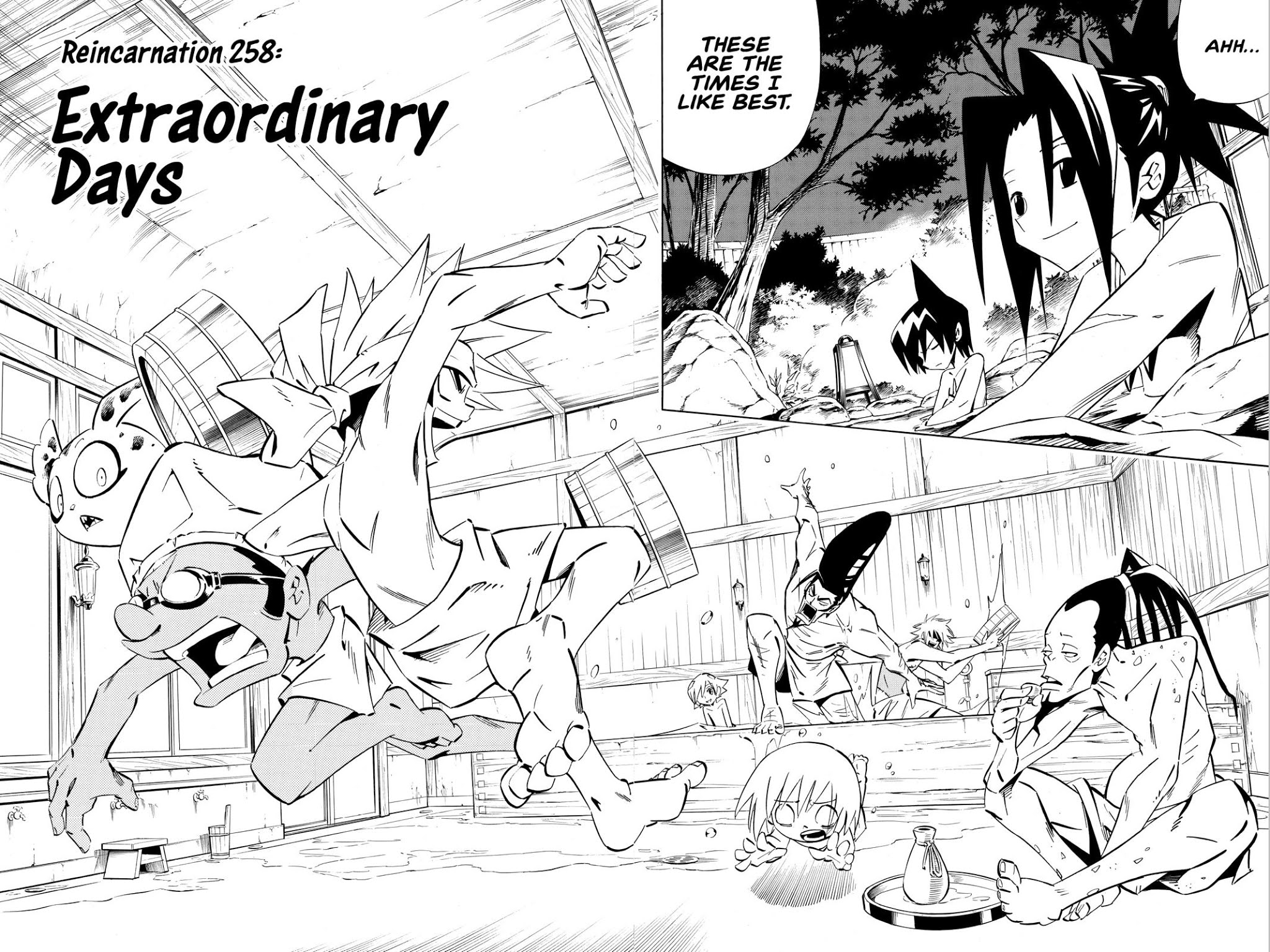 Shaman King chapter 258 page 9