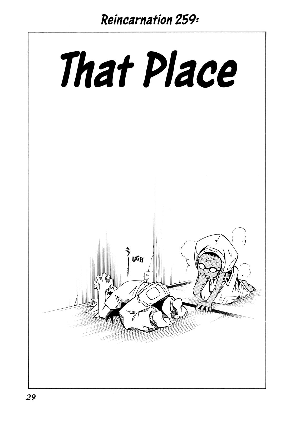 Shaman King chapter 259 page 3