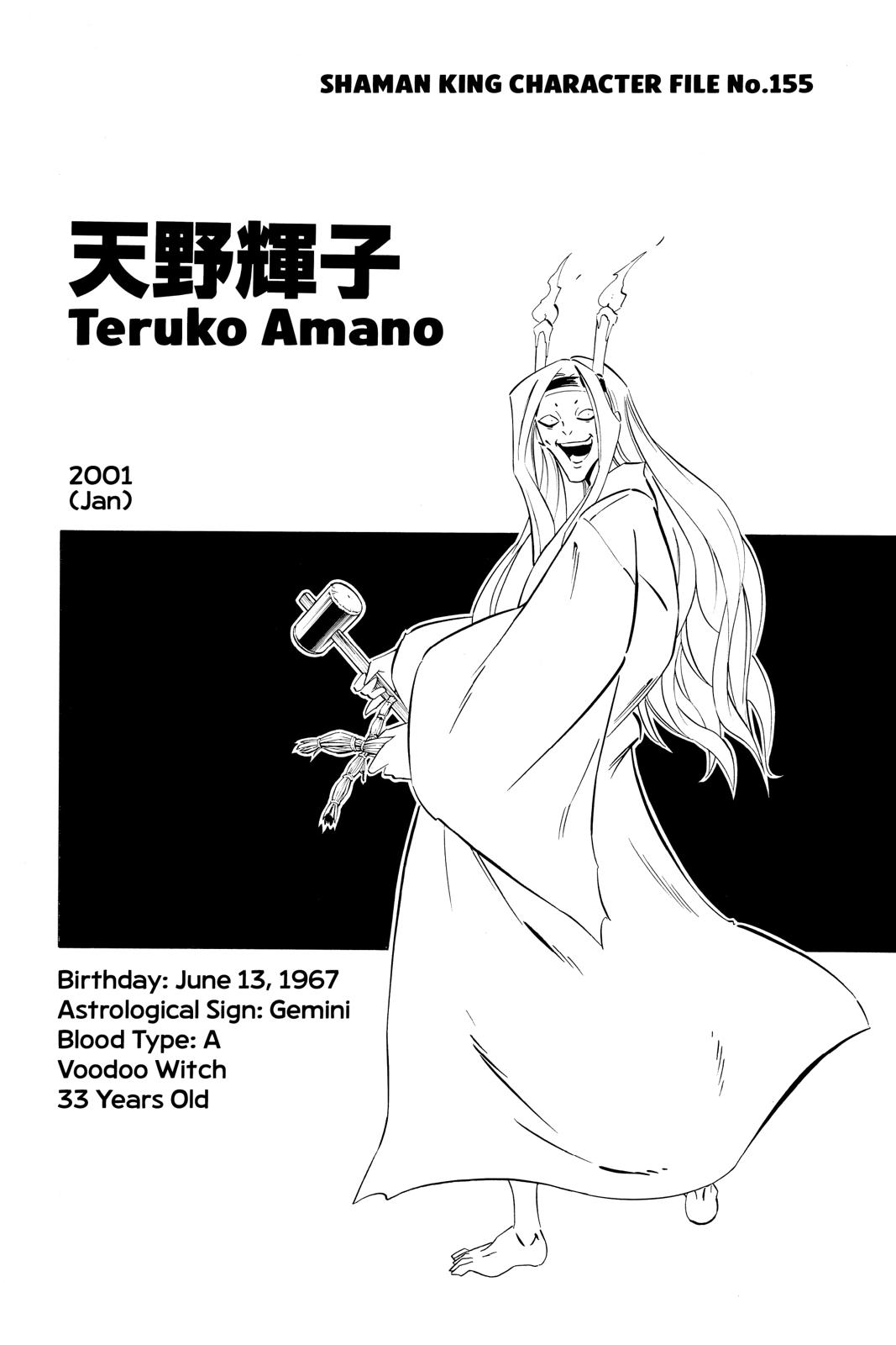 Shaman King chapter 263 page 17