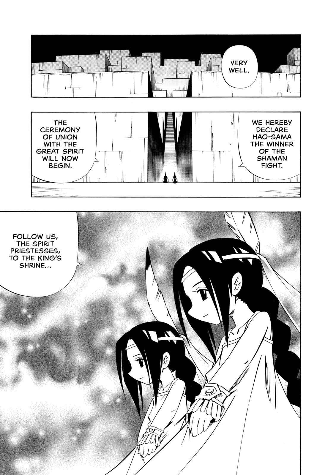 Shaman King chapter 264 page 11