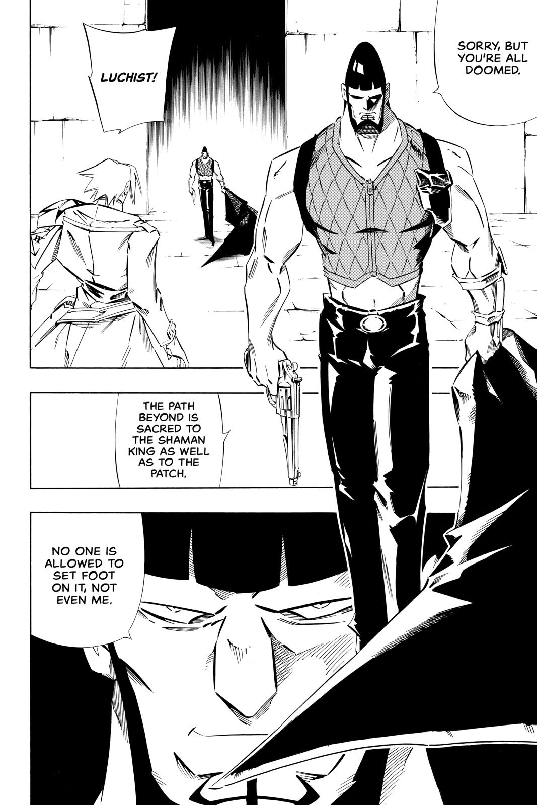 Shaman King chapter 264 page 15