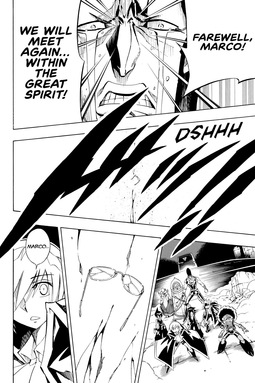 Shaman King chapter 265 page 18