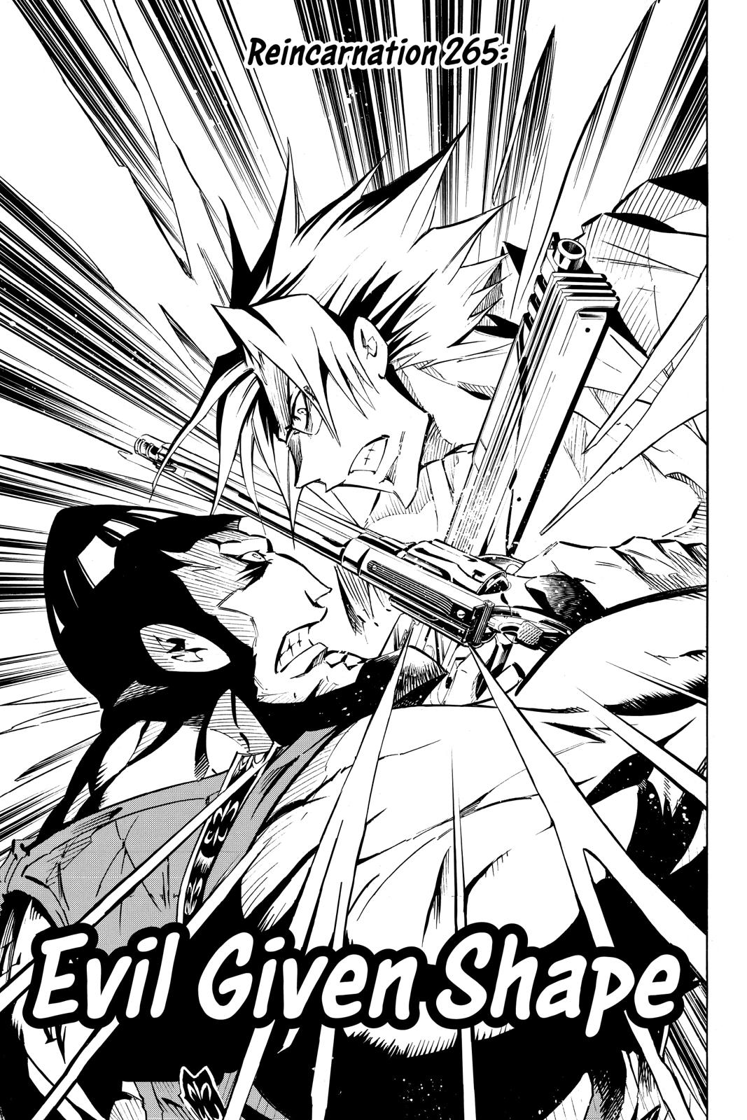 Shaman King chapter 265 page 3