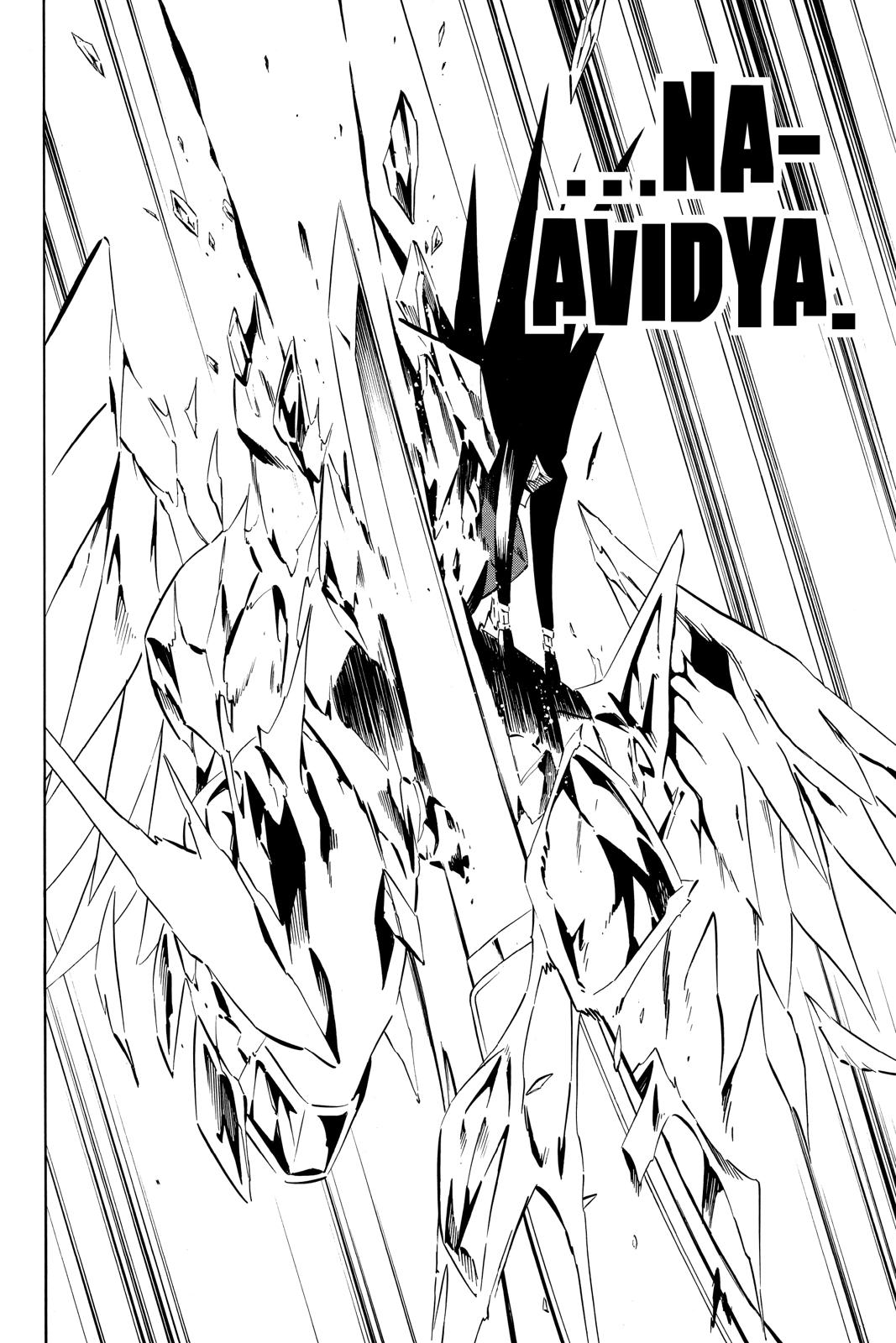 Shaman King chapter 268 page 11