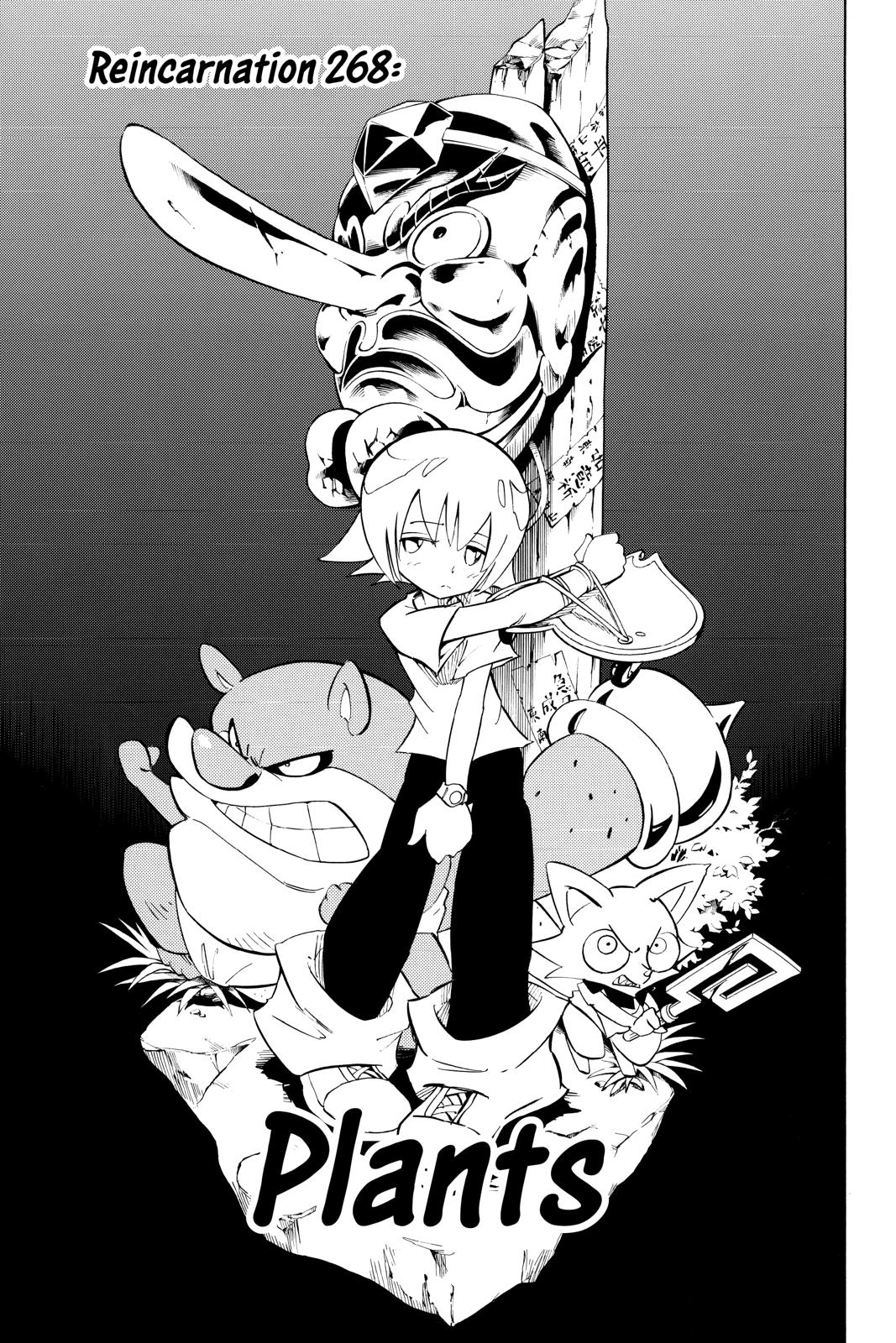 Shaman King chapter 268 page 12