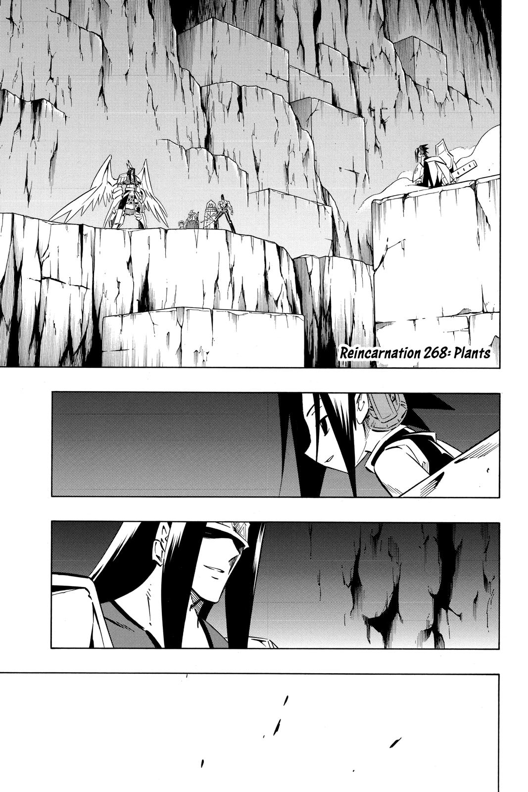 Shaman King chapter 268 page 8