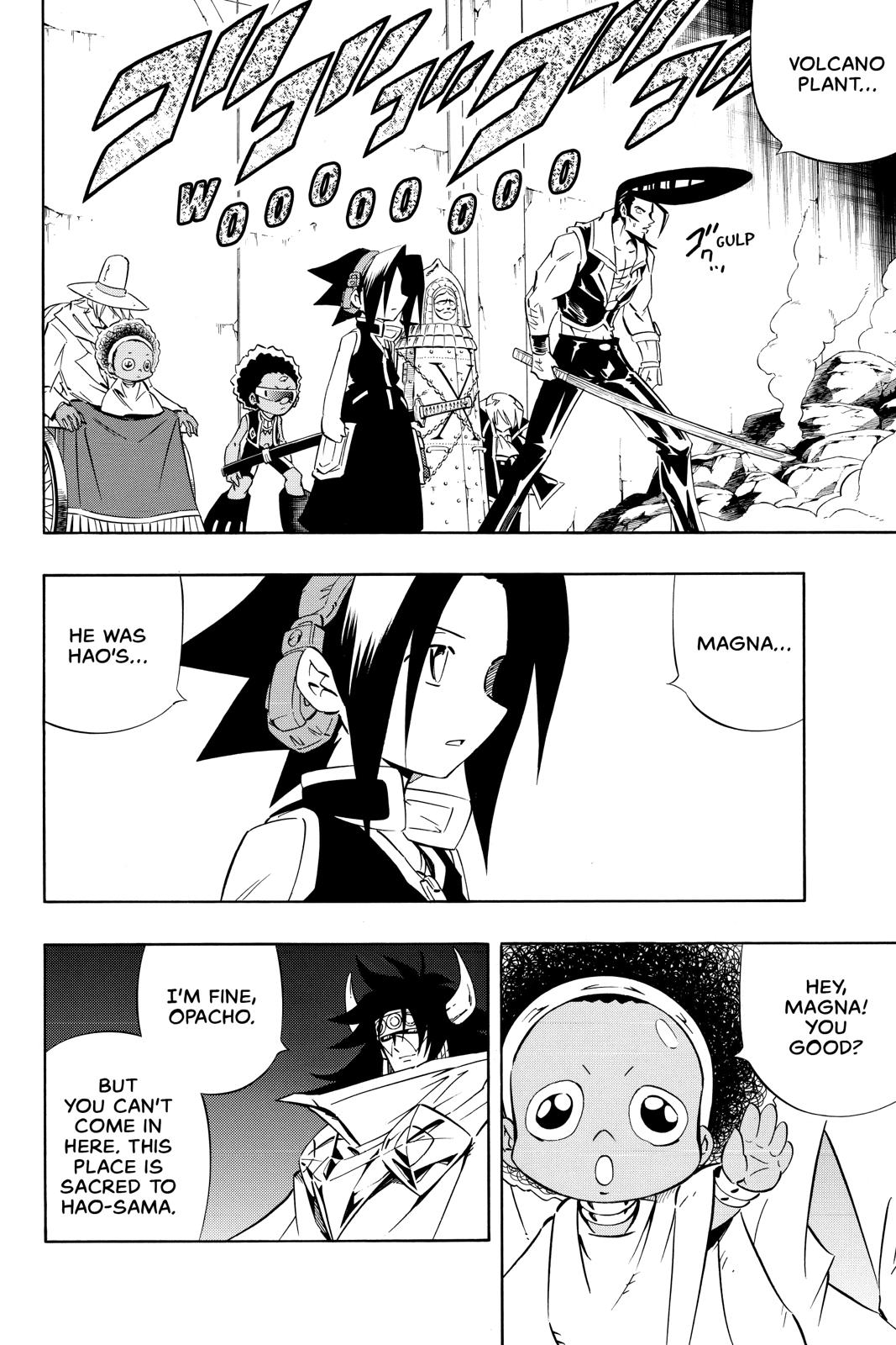 Shaman King chapter 276 page 7