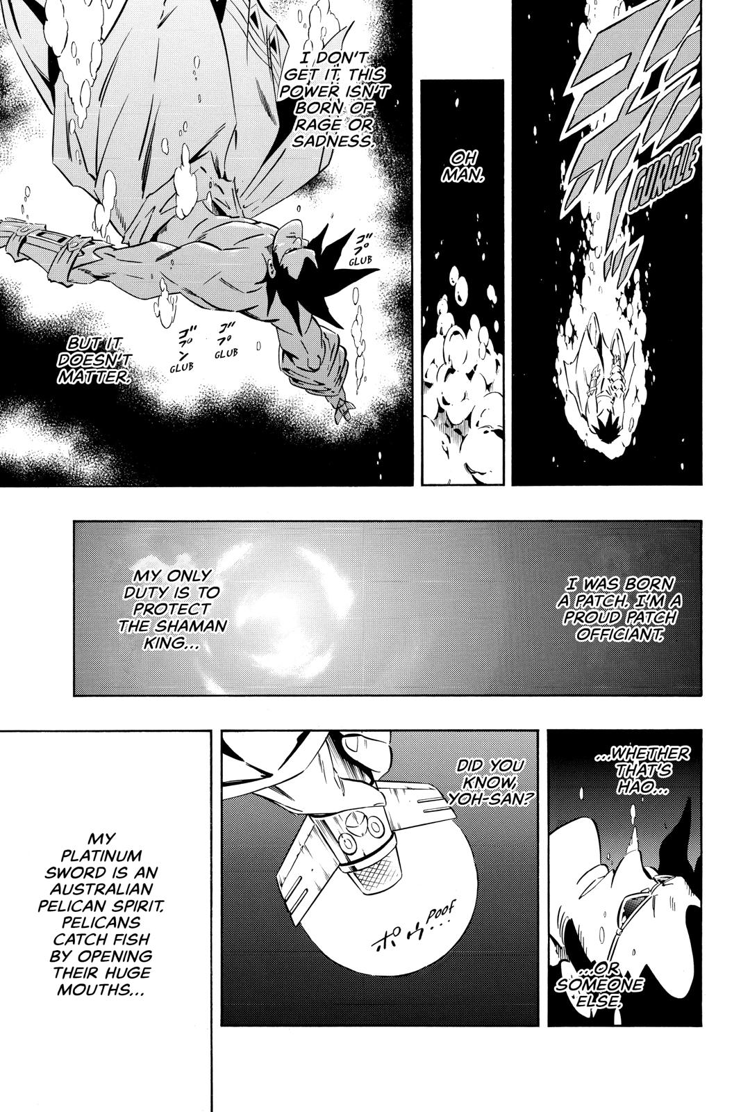 Shaman King chapter 283 page 14