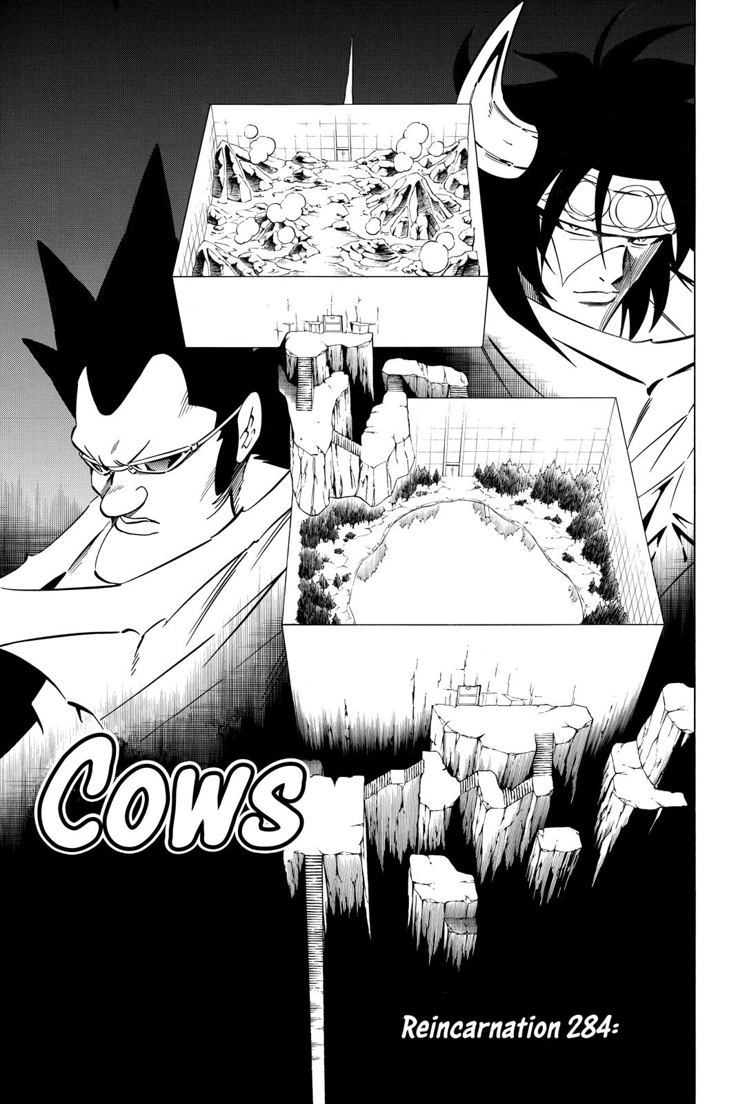 Shaman King chapter 284 page 5