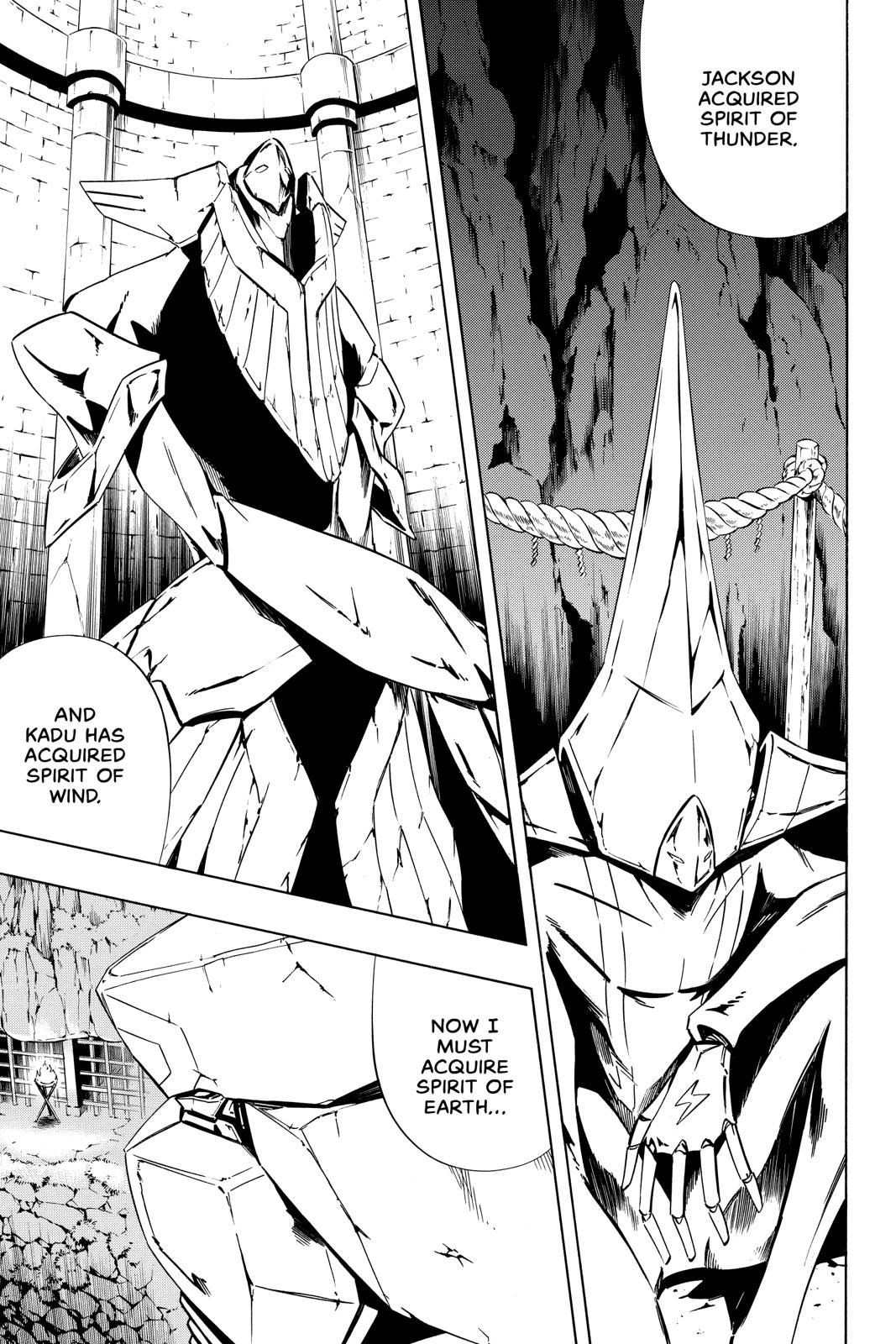 Shaman King chapter 285 page 14