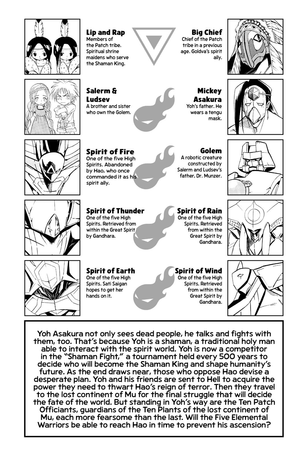 Shaman King chapter 288 page 6