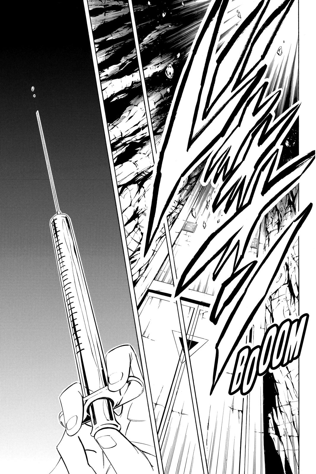Shaman King chapter 291 page 13