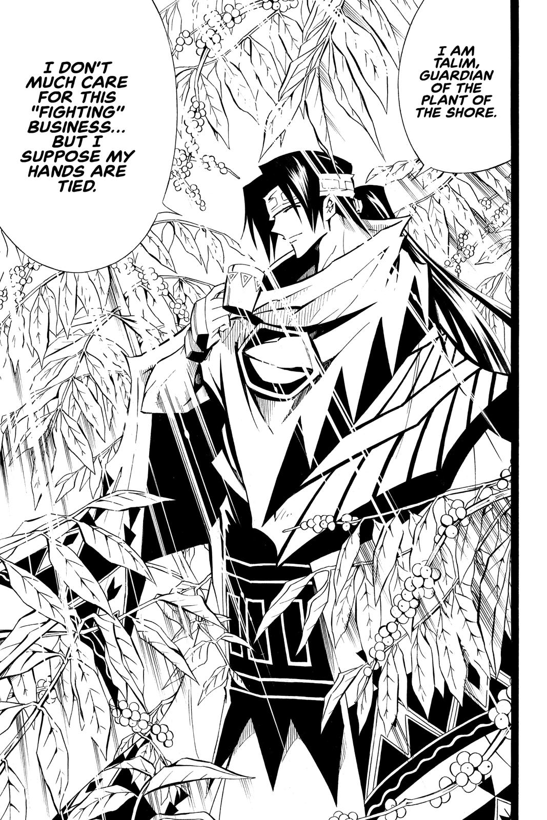Shaman King chapter 291 page 19