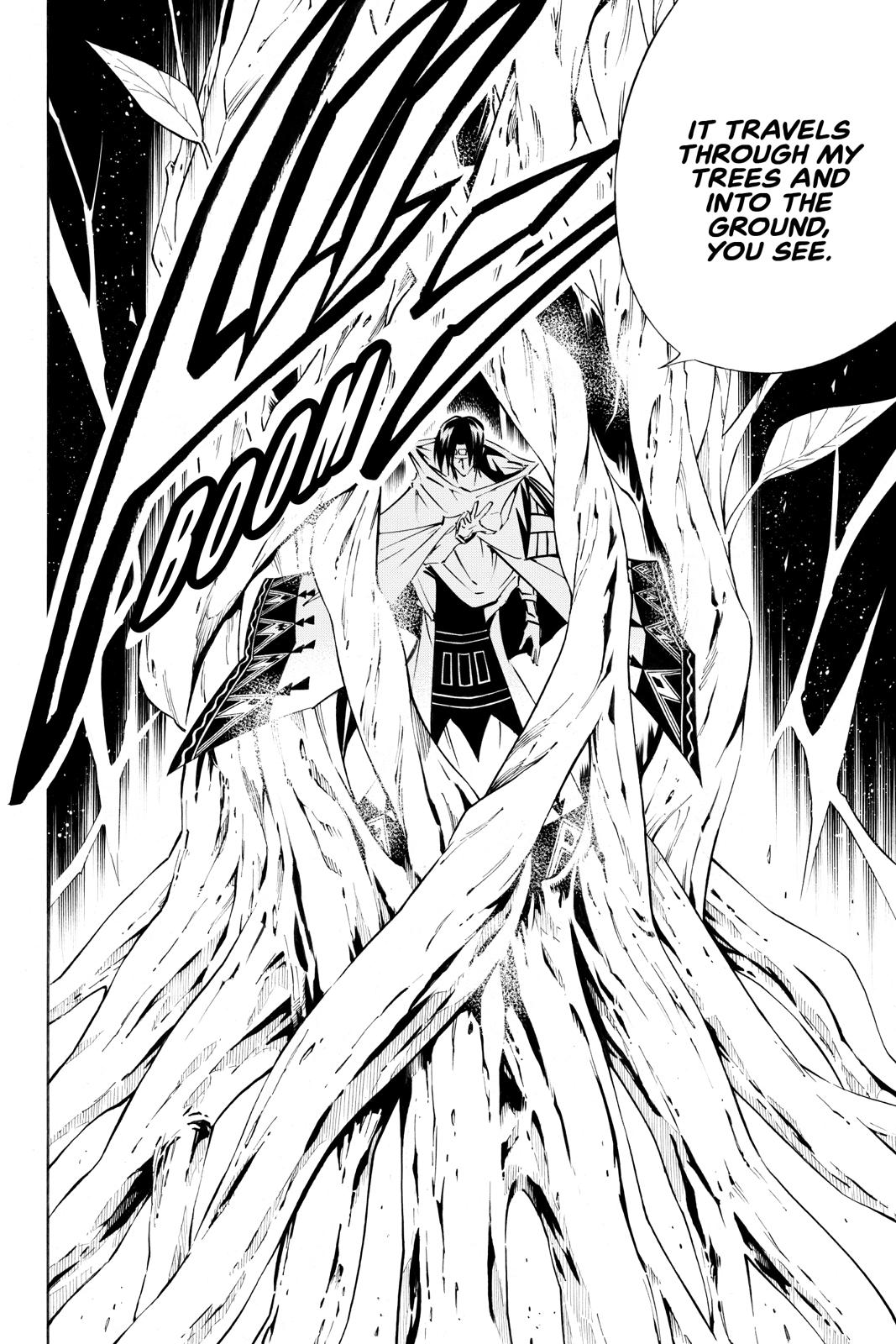 Shaman King chapter 292 page 12
