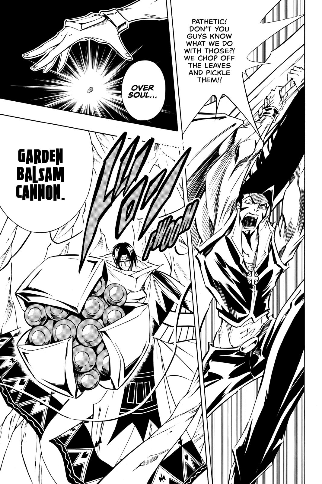 Shaman King chapter 292 page 17