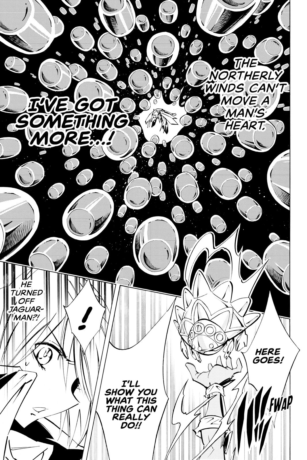 Shaman King chapter 293 page 11