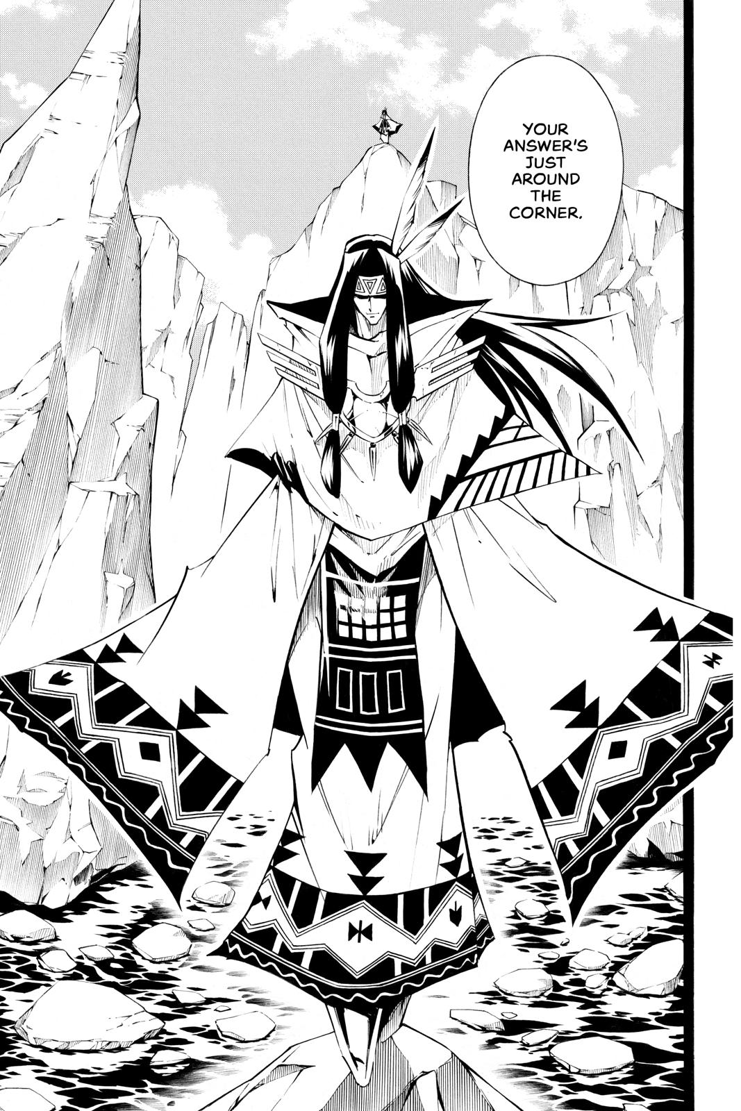 Shaman King chapter 293 page 17