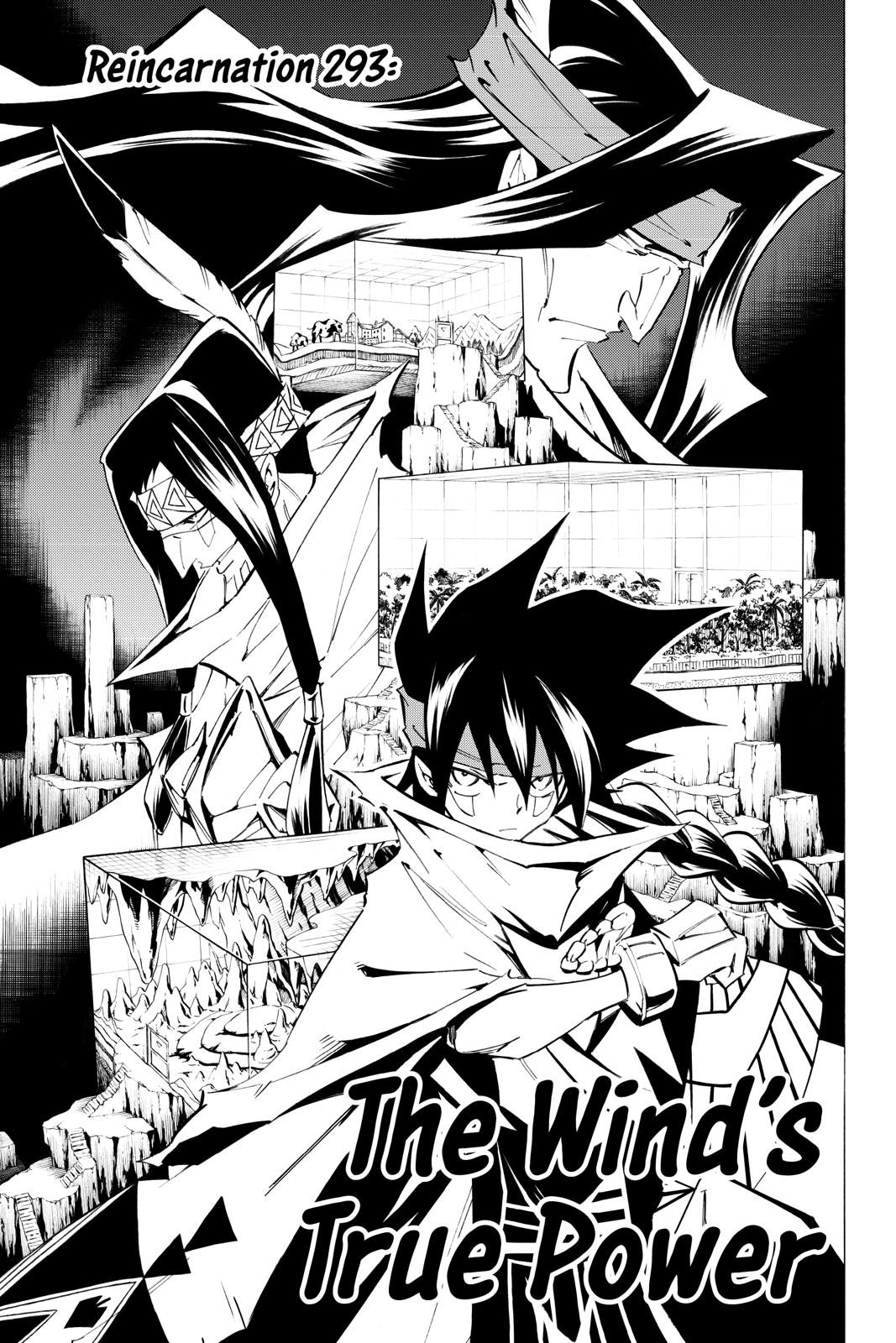 Shaman King chapter 293 page 3