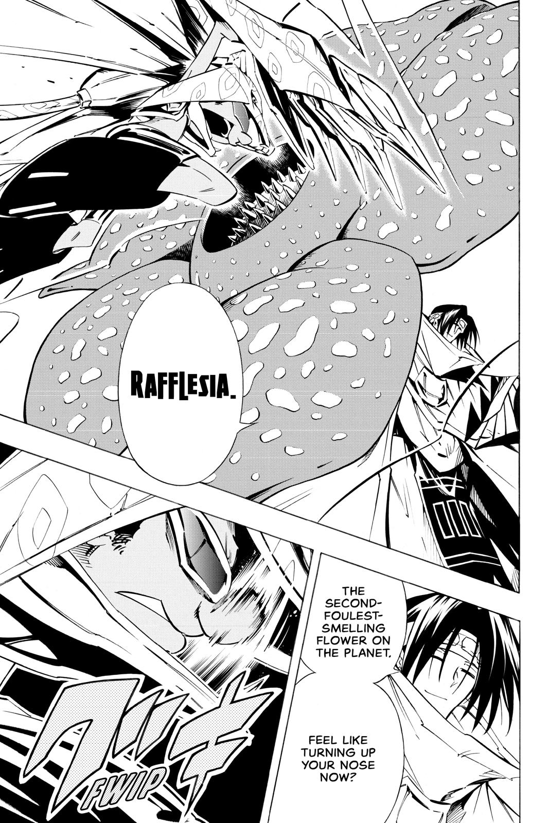 Shaman King chapter 293 page 5