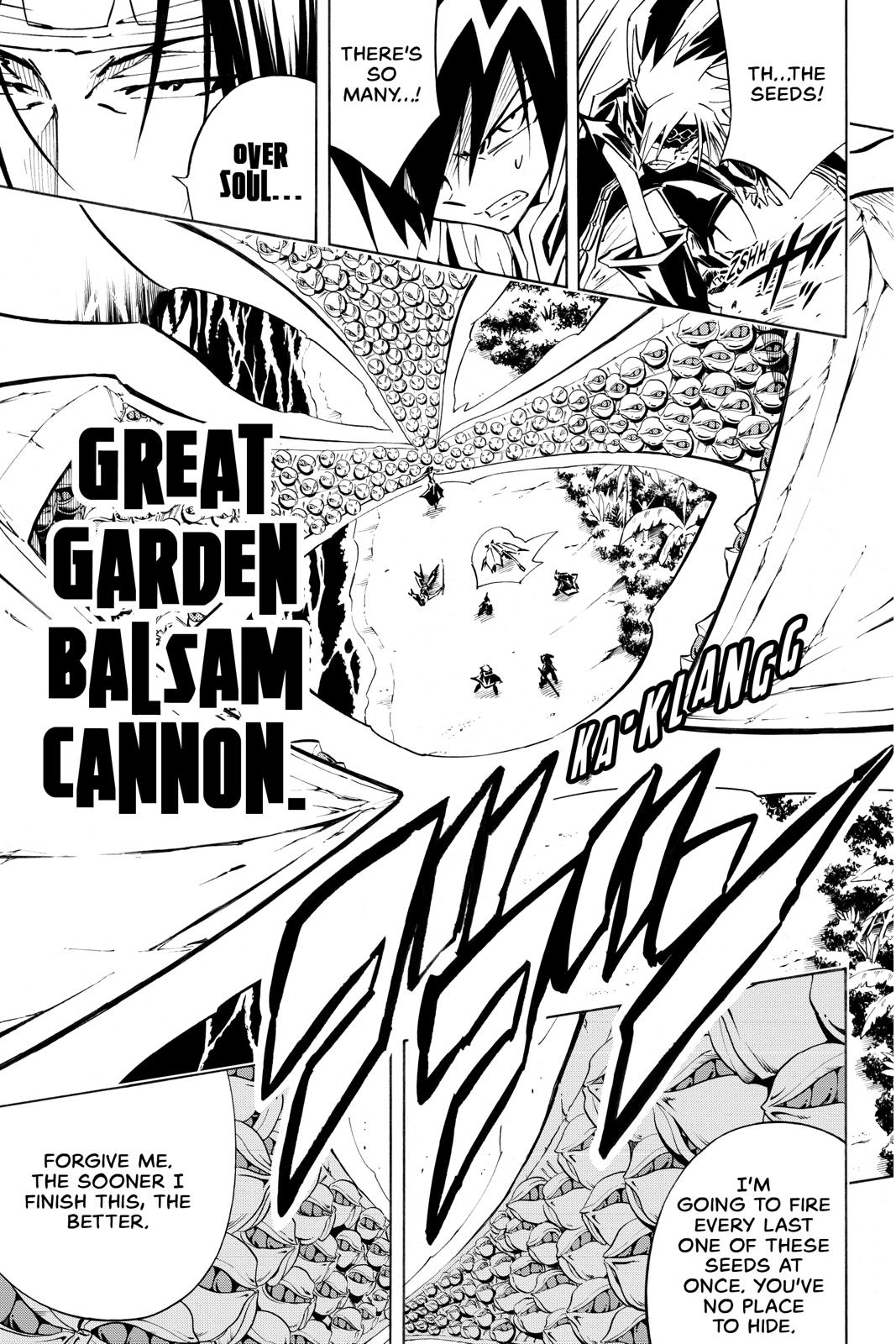 Shaman King chapter 293 page 9