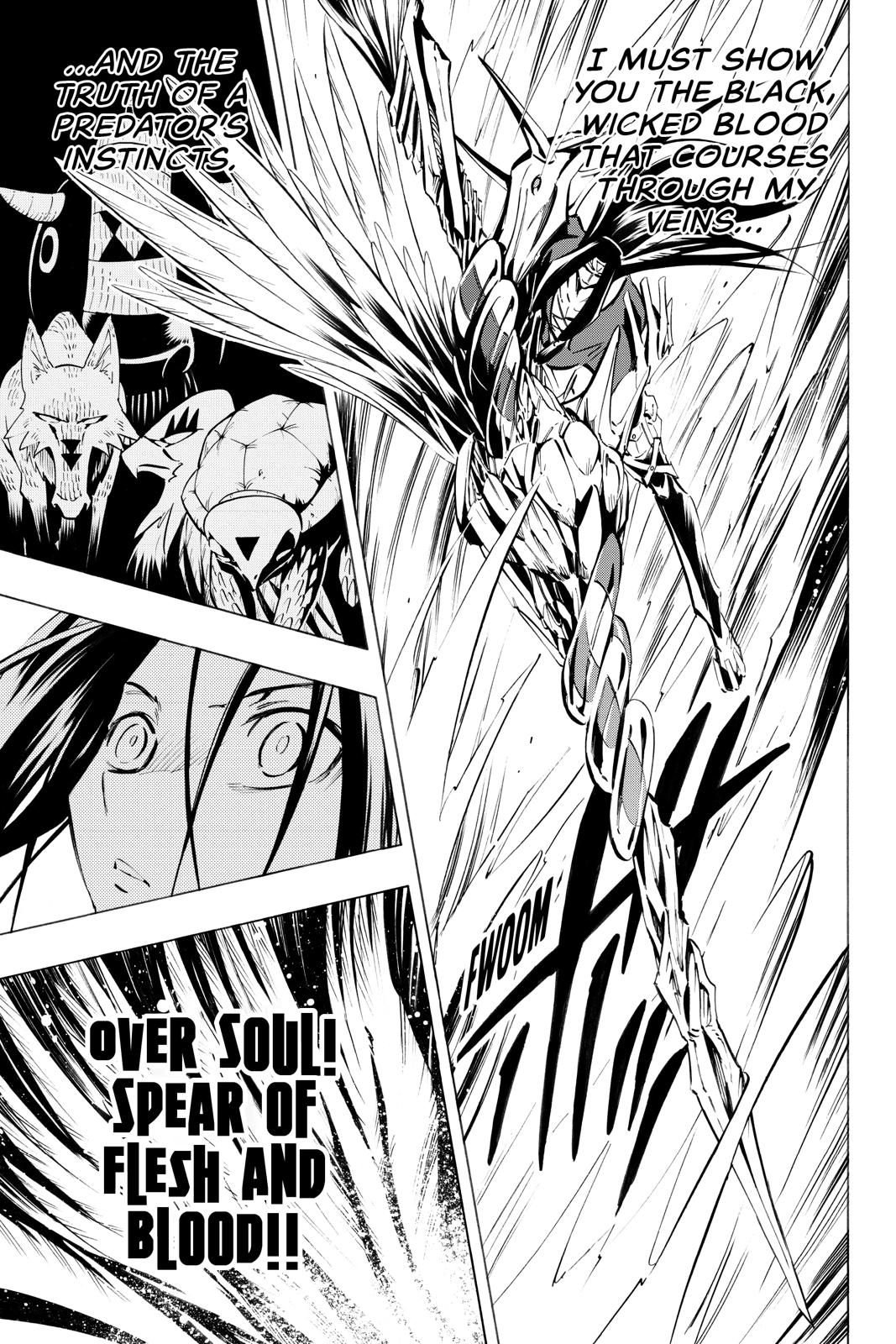 Shaman King chapter 294 page 13