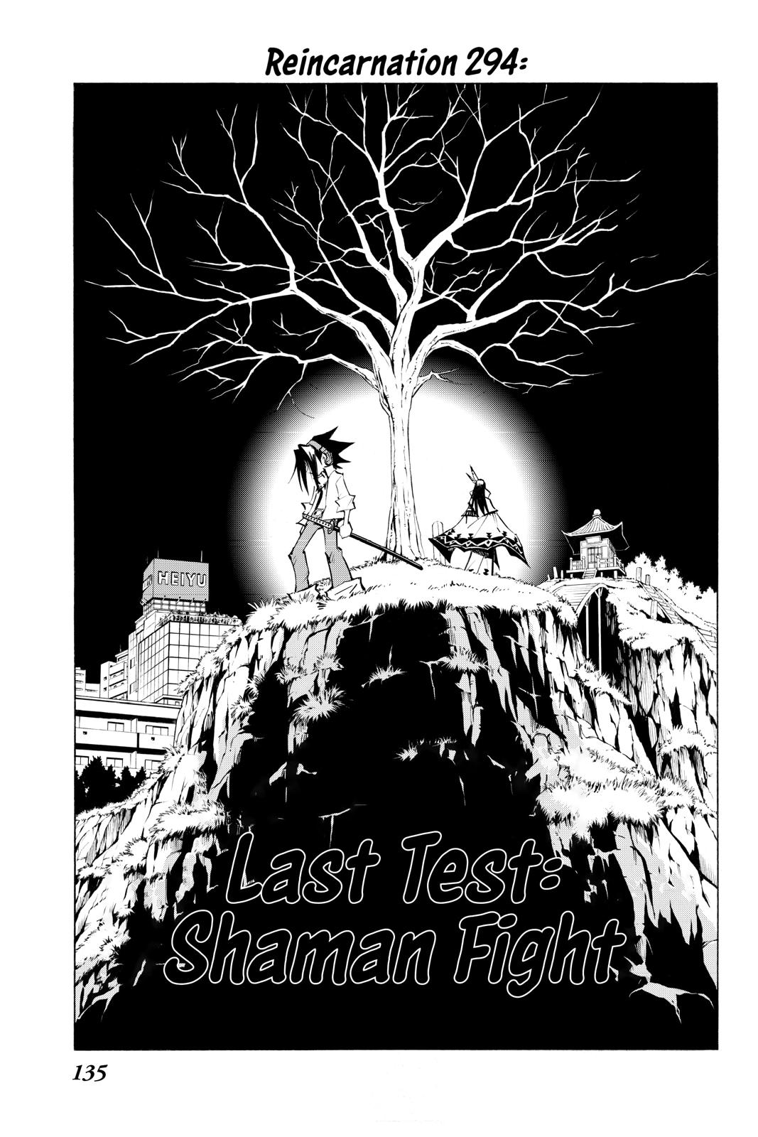 Shaman King chapter 294 page 3