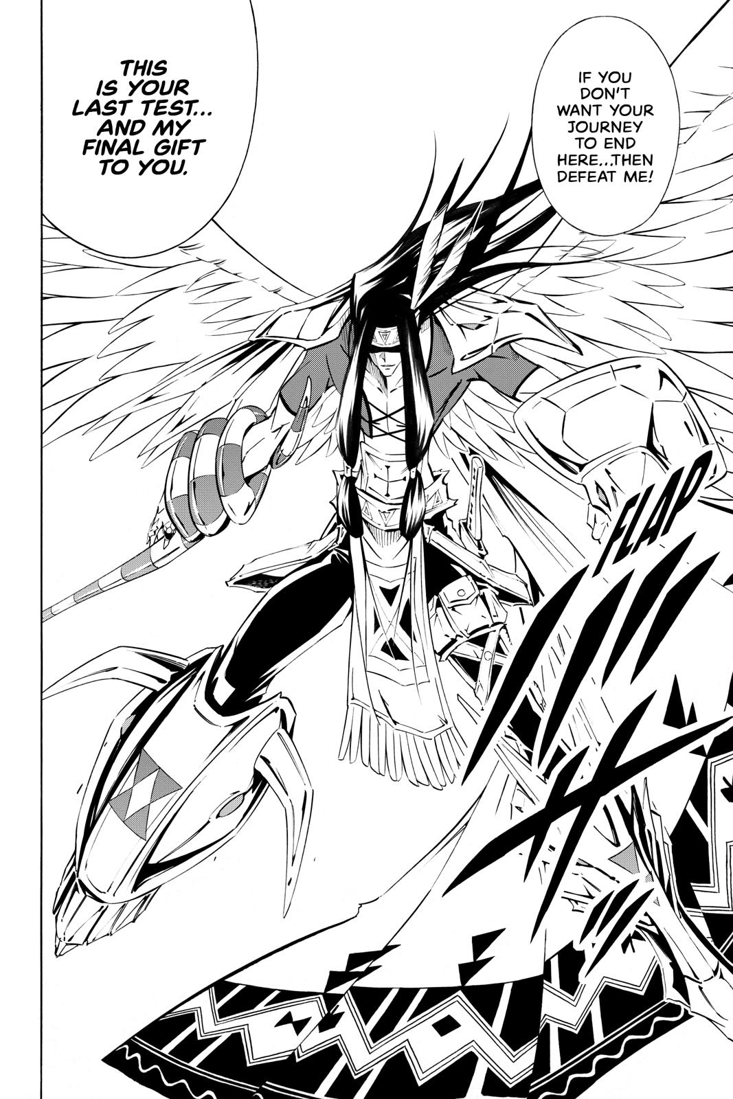 Shaman King chapter 294 page 6