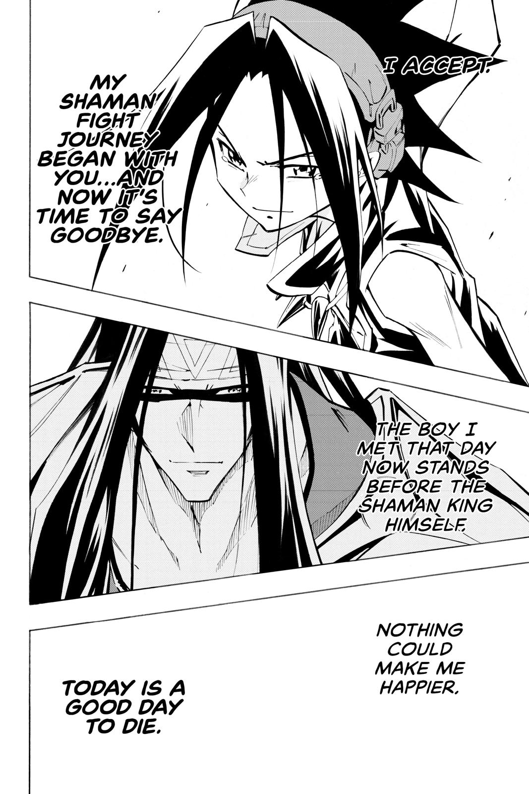 Shaman King chapter 294 page 8