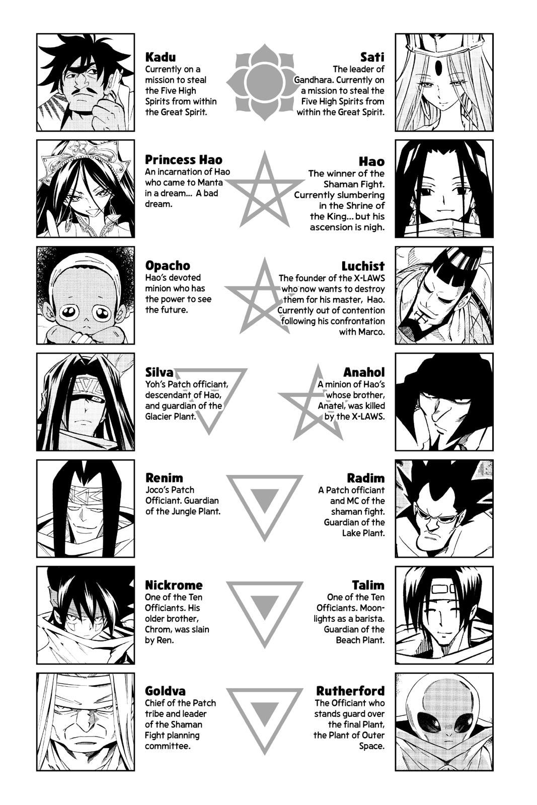 Shaman King chapter 295 page 5