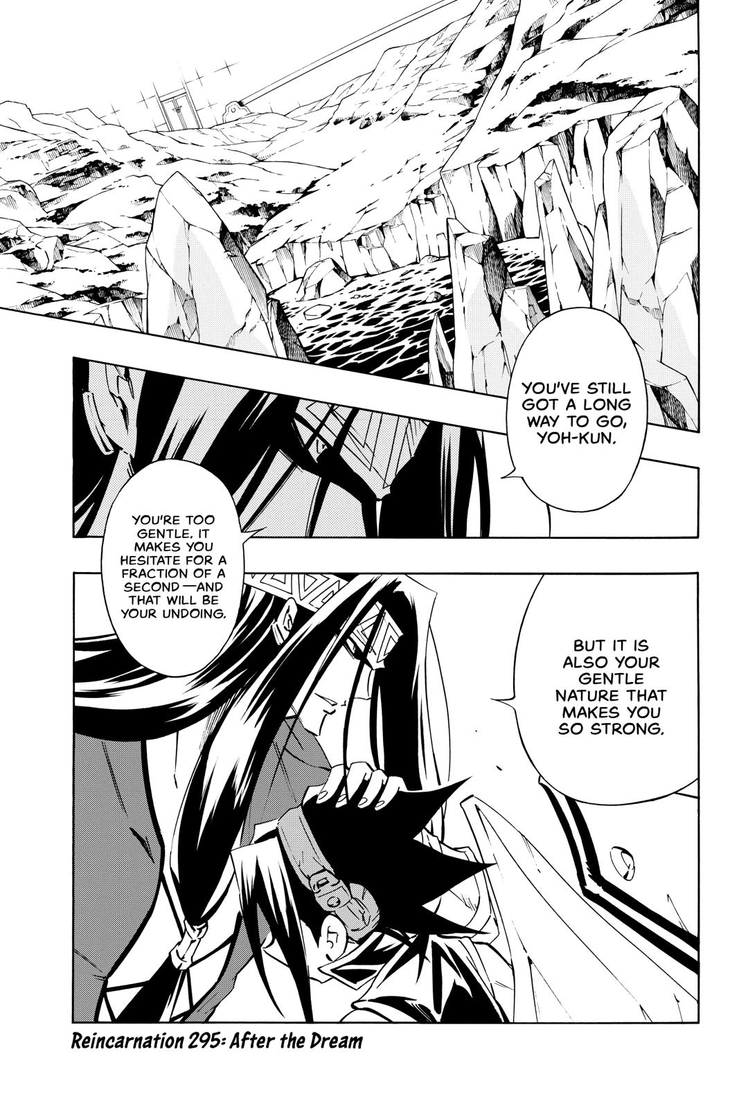 Shaman King chapter 295 page 8