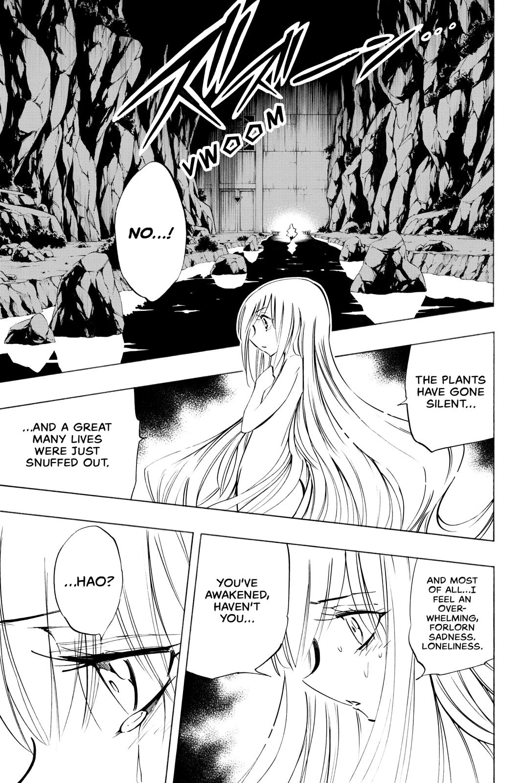 Shaman King chapter 297 page 3