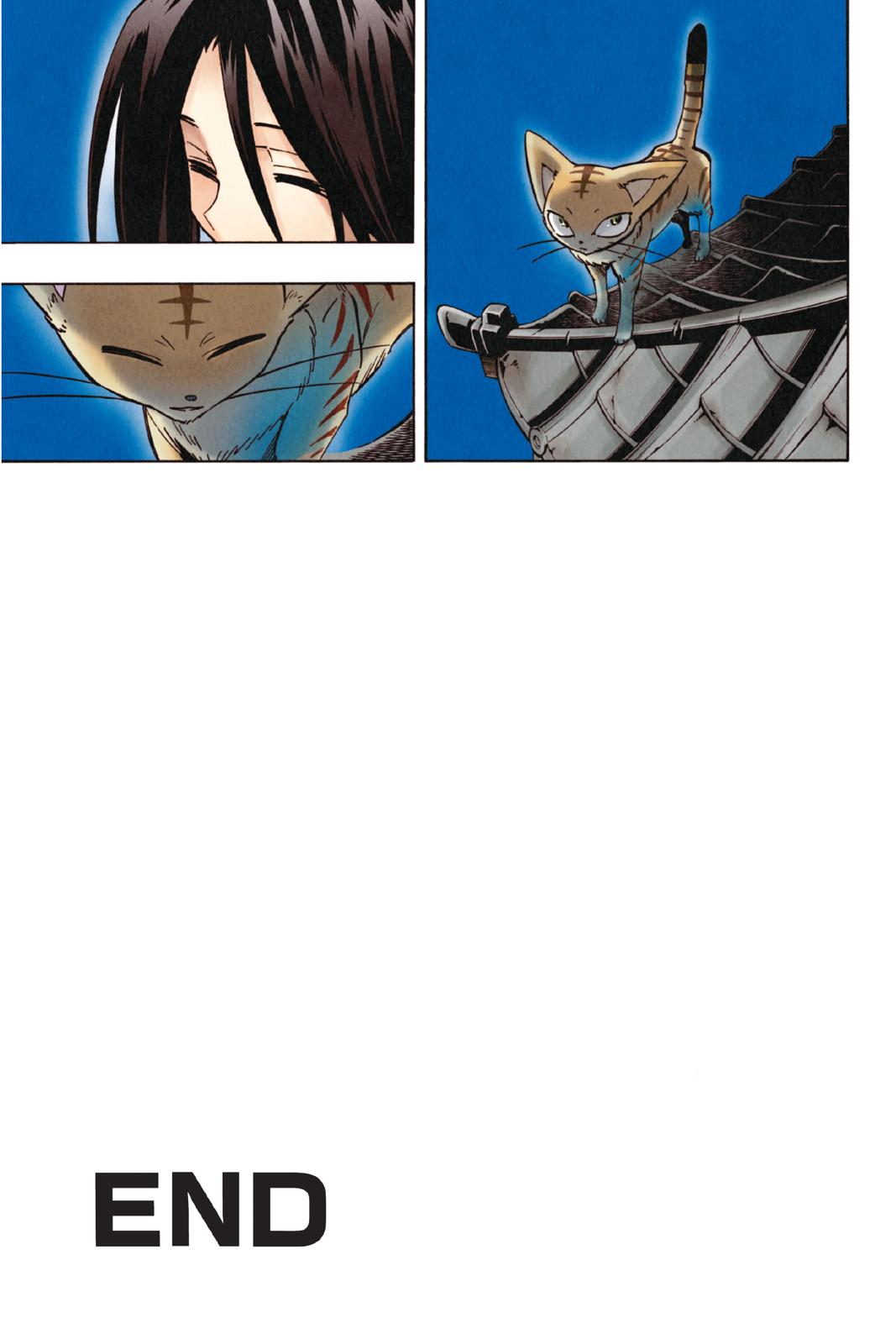 Shaman King chapter 300 page 37