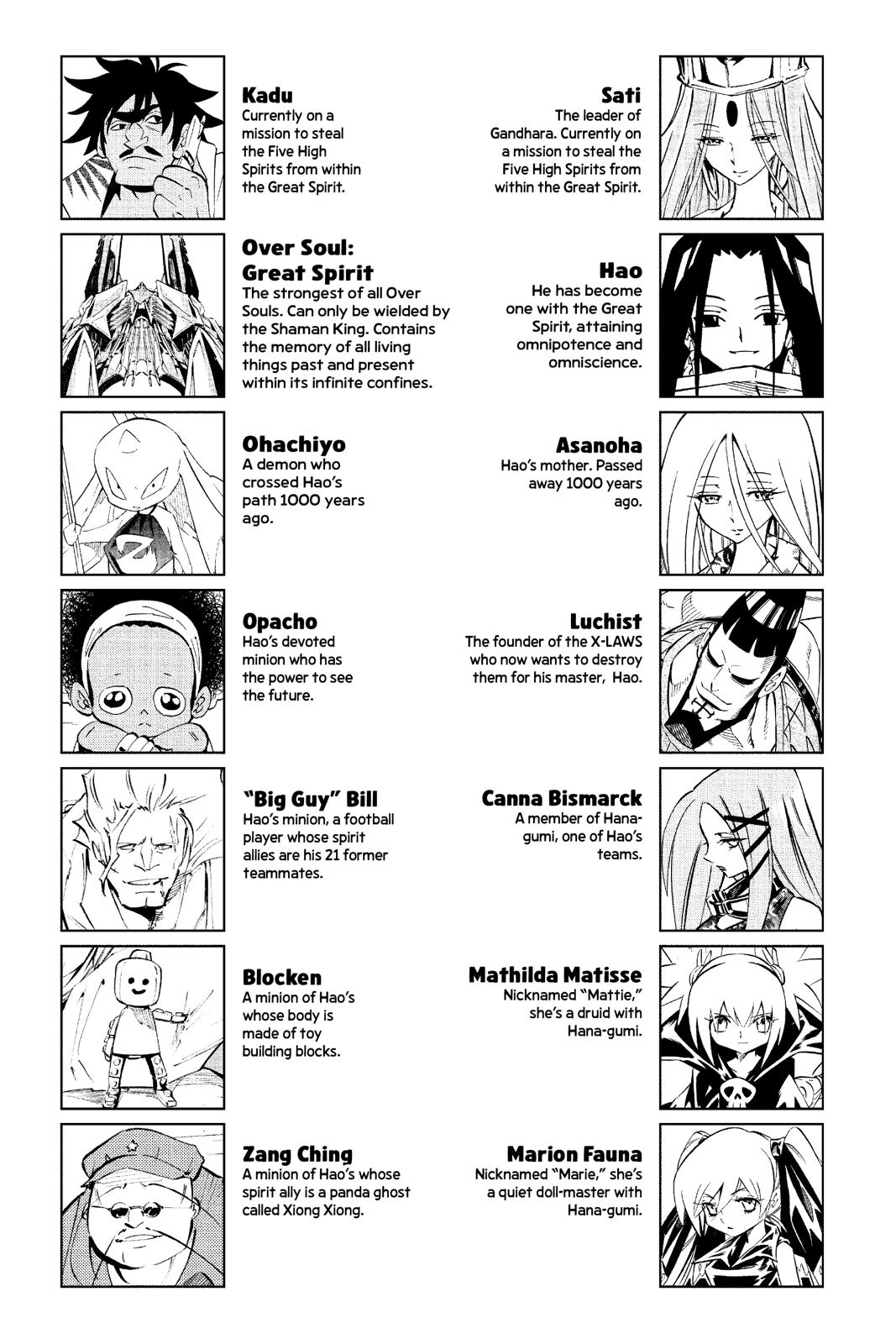 Shaman King chapter 300 page 5