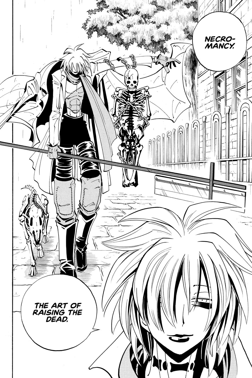 Shaman King chapter 40 page 12