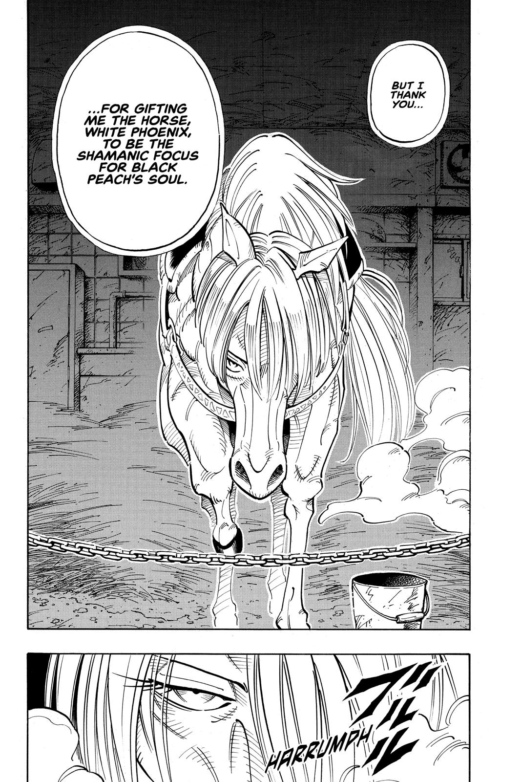 Shaman King chapter 53 page 10