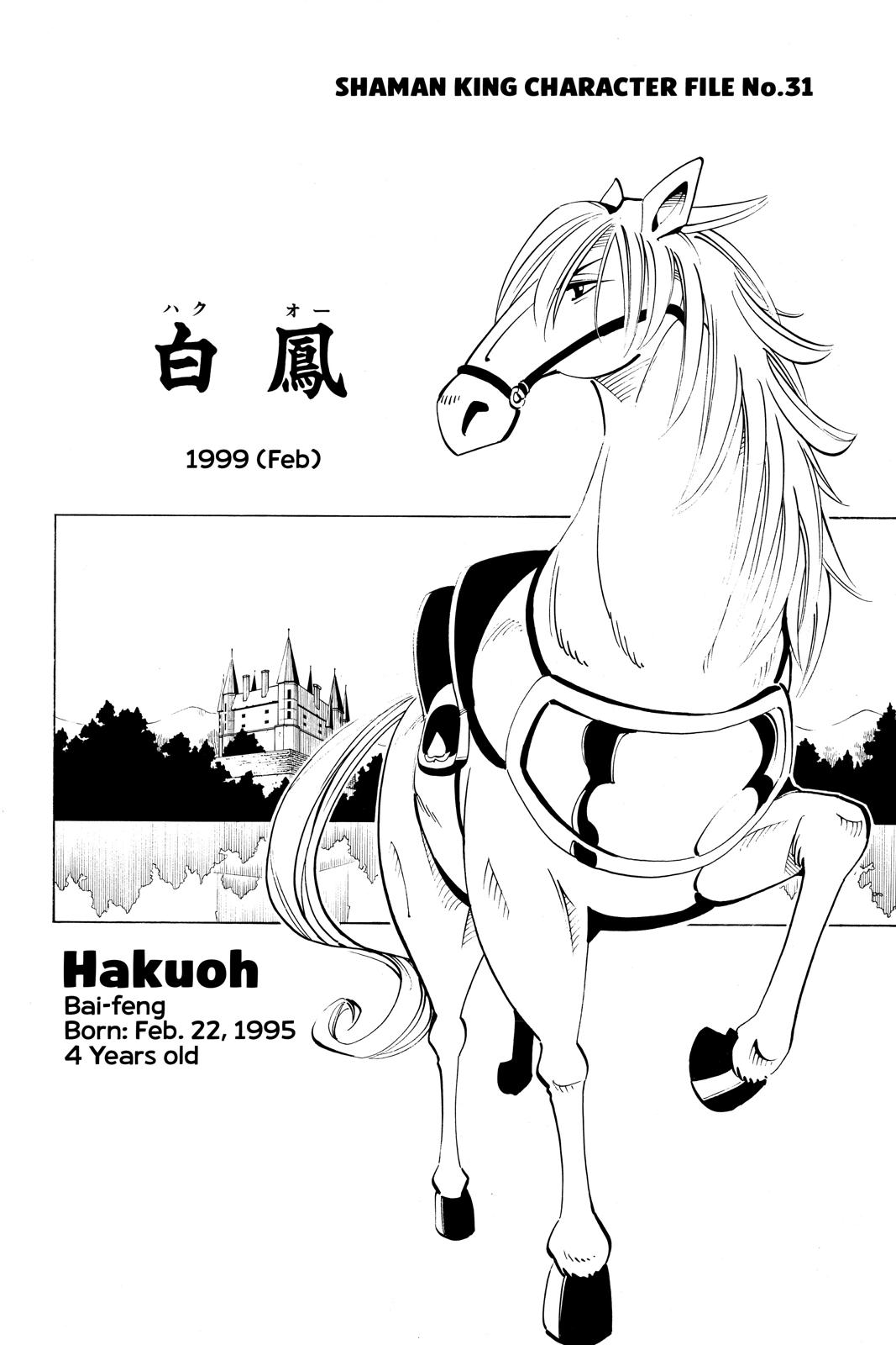 Shaman King chapter 60 page 20