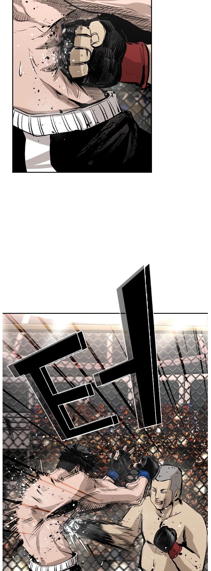 Shark chapter 146 page 24