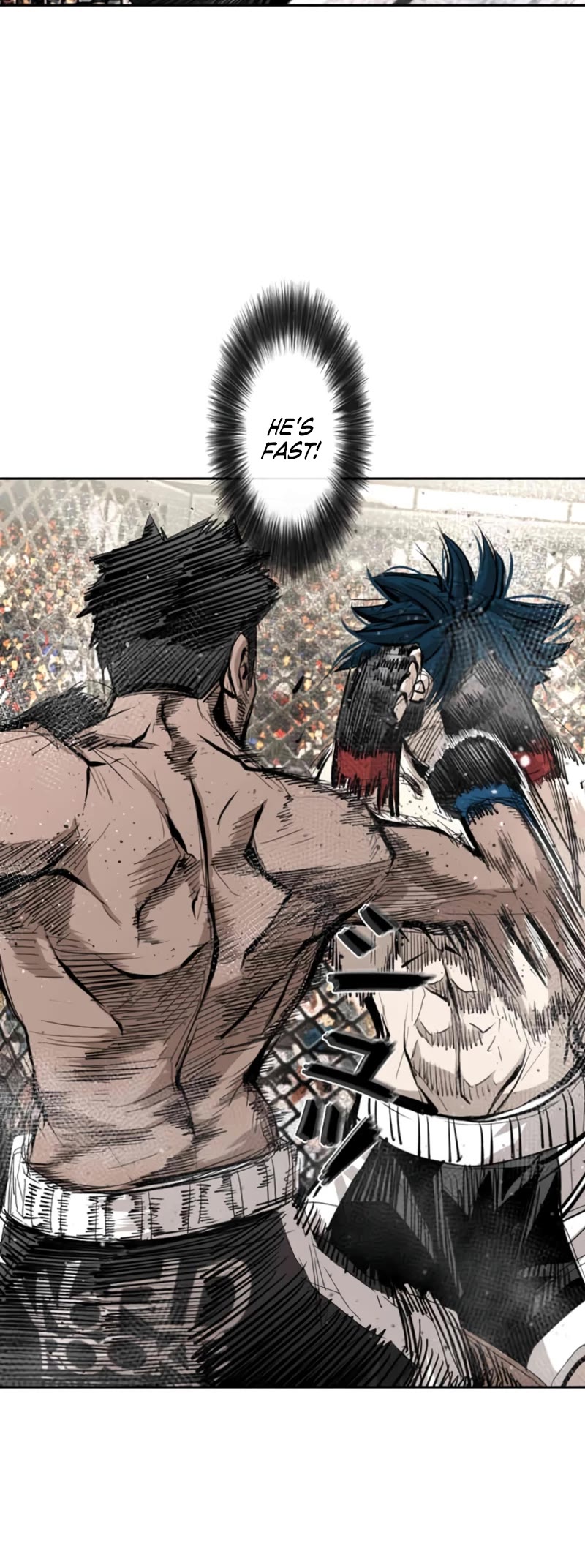 Shark chapter 161 page 12