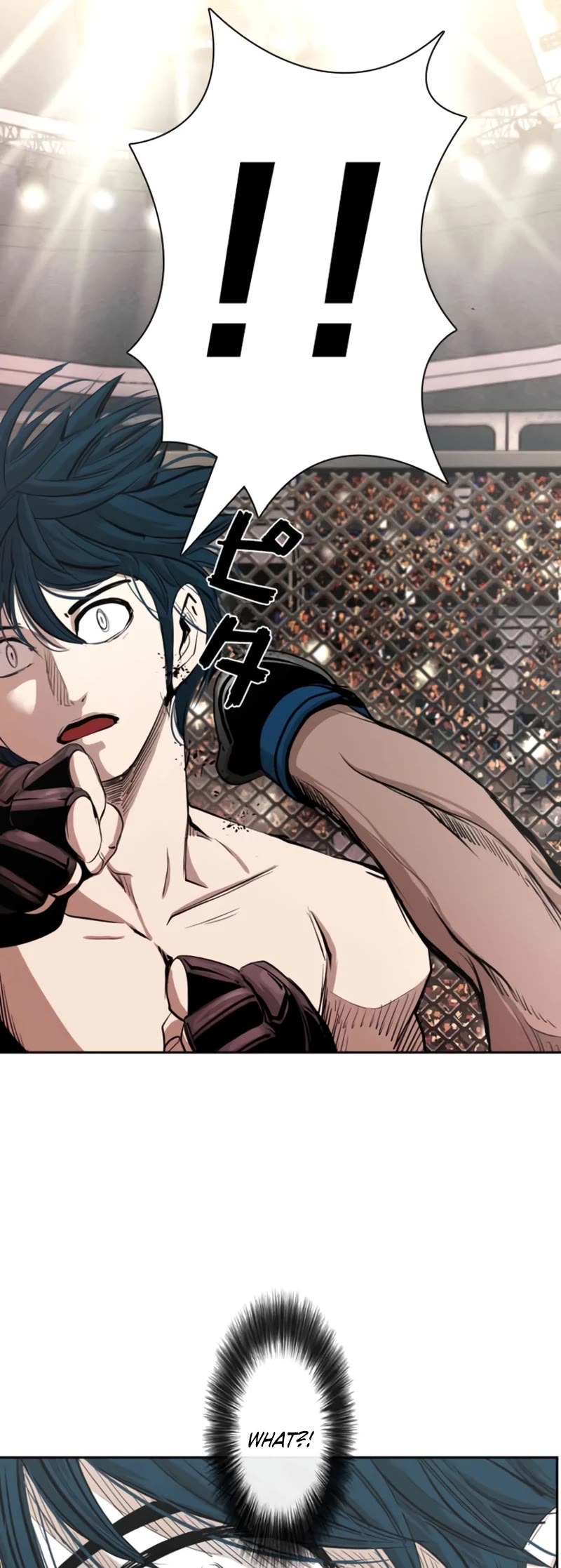 Shark chapter 161 page 2