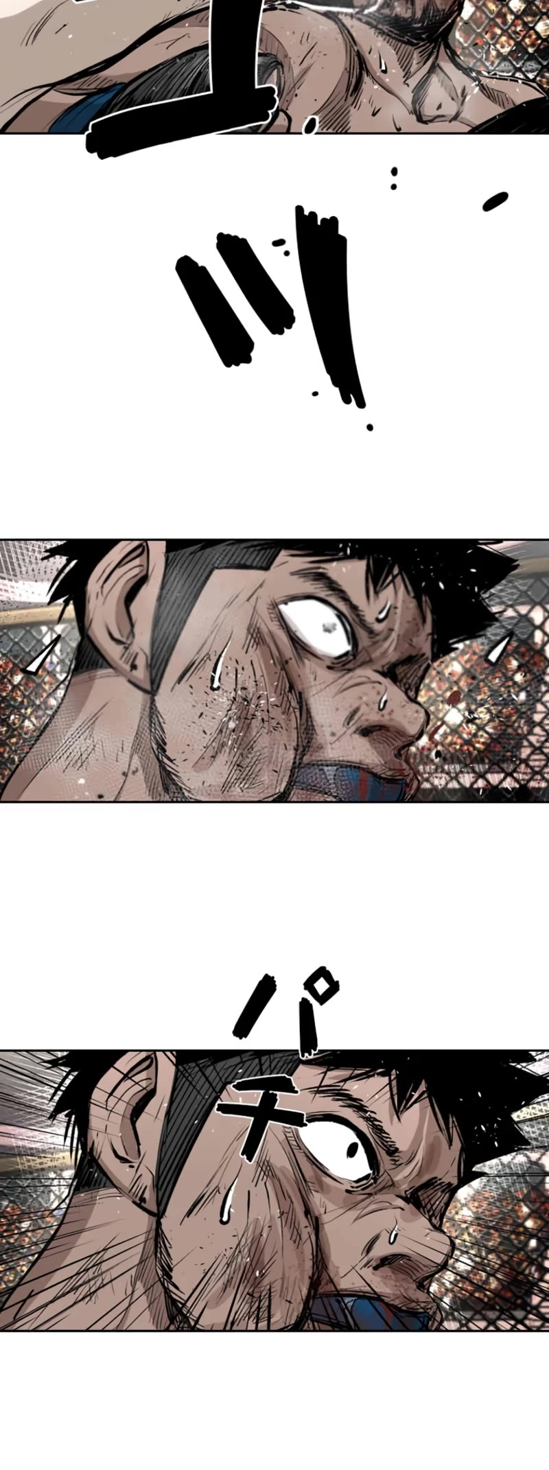 Shark chapter 161 page 31