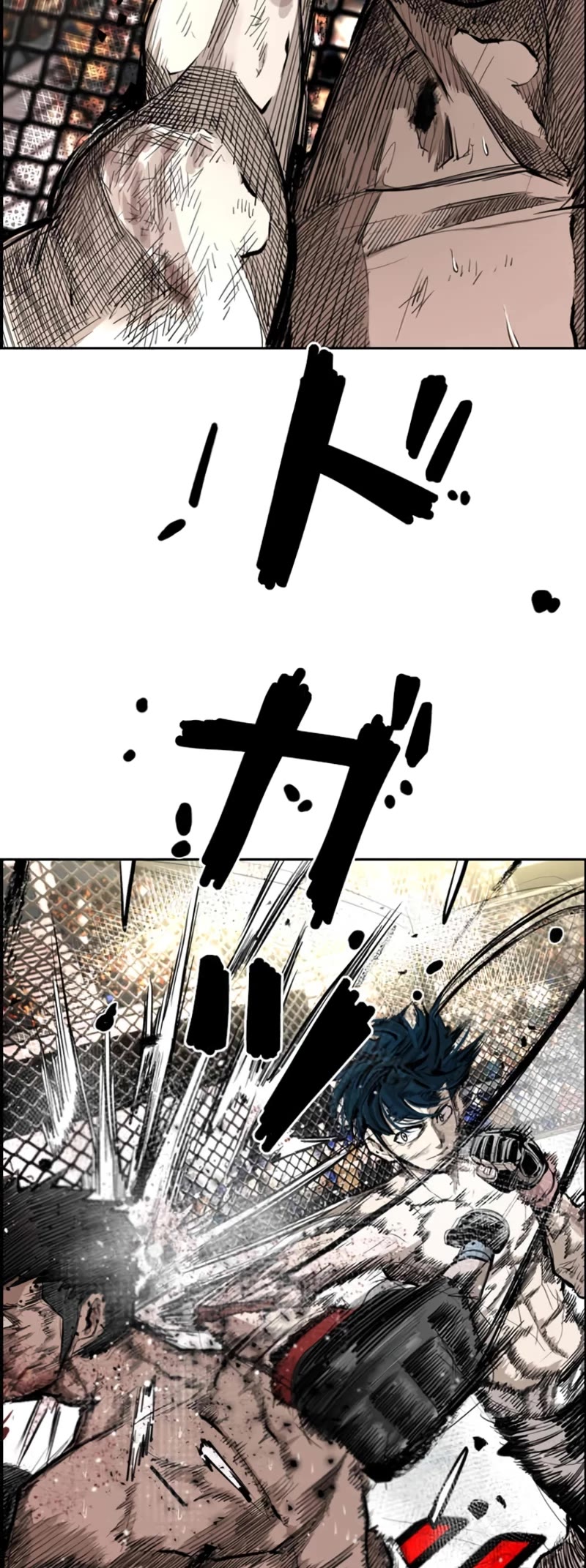 Shark chapter 161 page 51