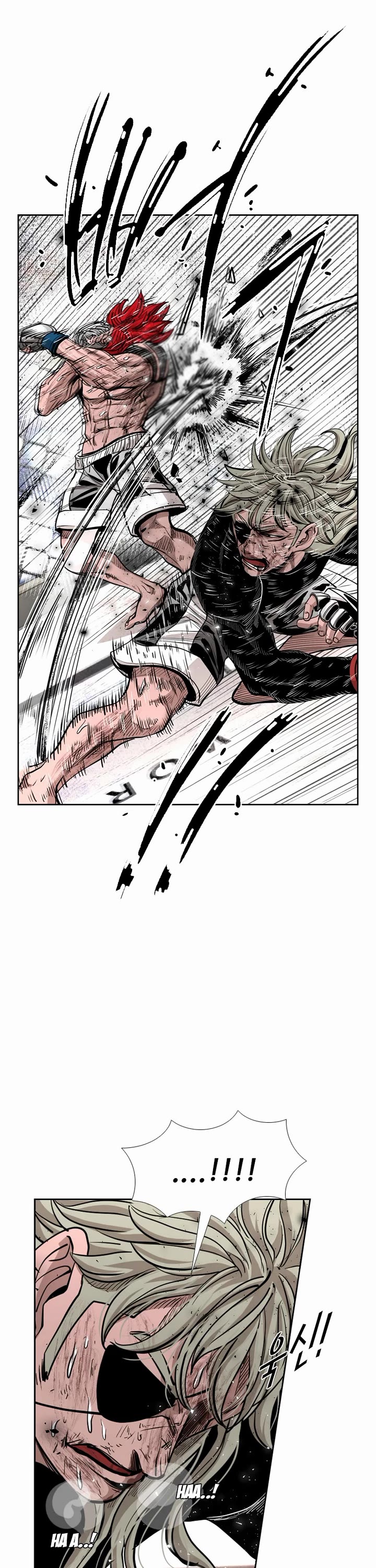 Shark chapter 211 page 13