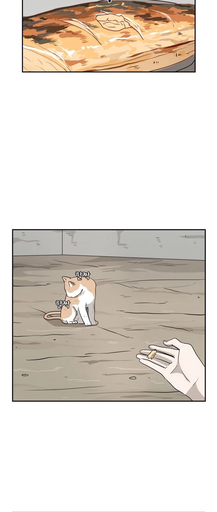 Shark chapter 47 page 28